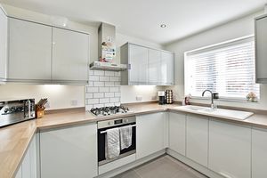 Photo 10- click for photo gallery